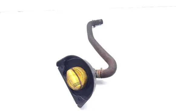 Renault Trafic III (X82) Oil fill pipe 8200795333