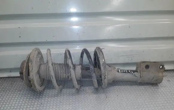 Hyundai Santa Fe Front shock absorber with coil spring 