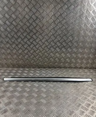 Mercedes-Benz R AMG W251 Rear door glass trim molding 251690777980 25169077