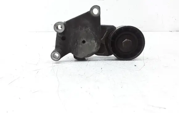Peugeot 206 Generator/alternator belt tensioner