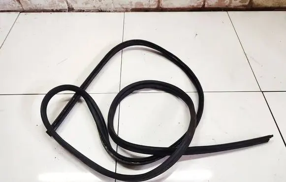 Ford Focus Trunk rubber seal (body) 