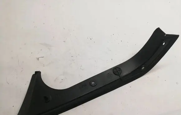 Rear/tail light trim molding