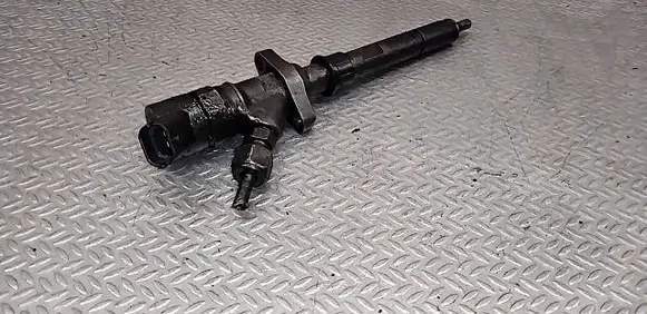 Peugeot 607 Fuel injector 0445110036