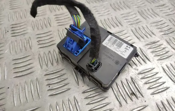Peugeot 308 Other control units/modules 9811039380