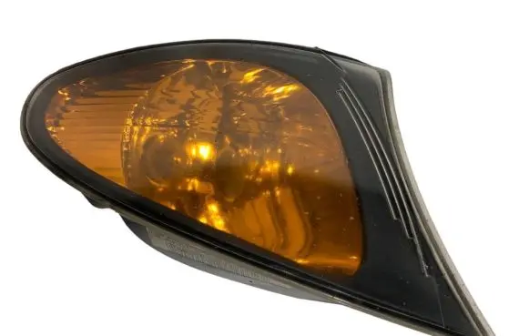 BMW 3 E46 Front indicator light 6910980
