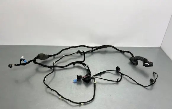 BMW X5 G05 Front door wiring loom 8779790 E64478