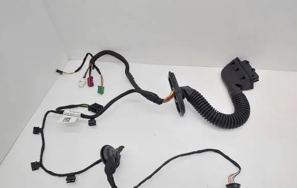 Mercedes-Benz E AMG W213 Rear door wiring loom A2135404231 A0009824509