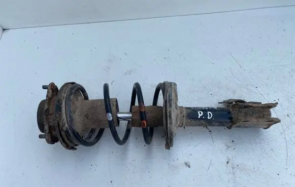 Front shock absorber with coil spring