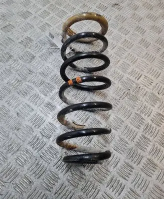 Peugeot Expert Rear coil spring 