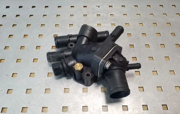 Thermostat/thermostat housing