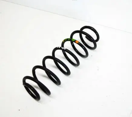 Rear coil spring