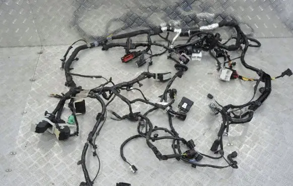 Ford Kuga III Other wiring loom