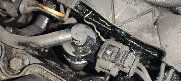 Peugeot 206 Fuel injector 9641496180 0445110075