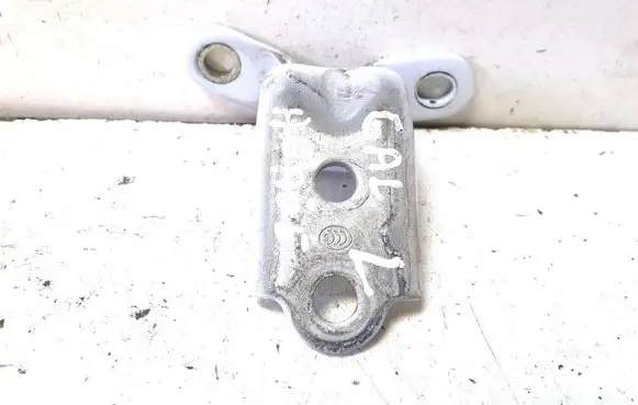 KIA Sportage Rear door lower hinge