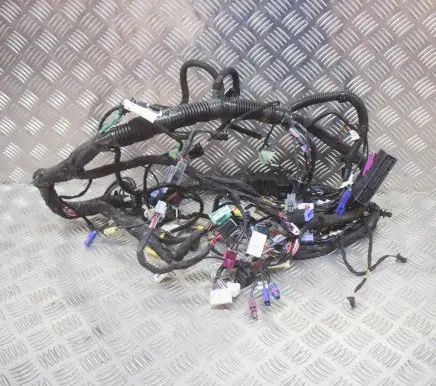Tesla Model S Other wiring loom 300442202A