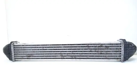 Mercedes-Benz B W245 Intercooler radiator A1695000000