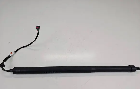 Tailgate strut