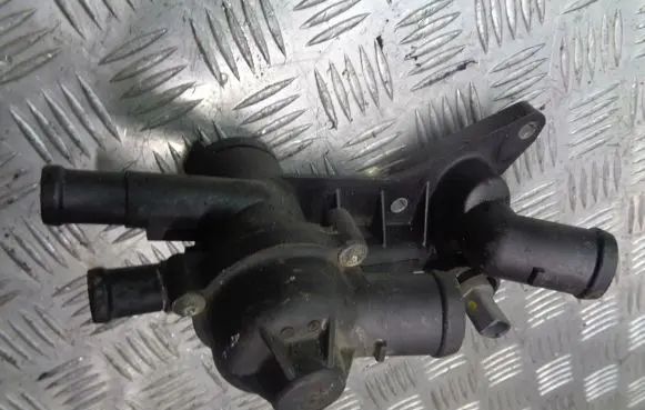 Seat Ibiza III (6L) Thermostat housing 