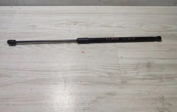 Tailgate/trunk strut/damper