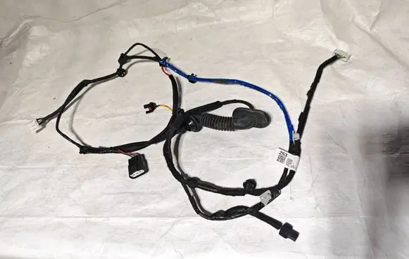Hyundai Ioniq 5 Rear door wiring loom 91655GI530
