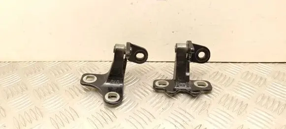 Tesla Model Y Juniper Rear door hinge set 162608000C