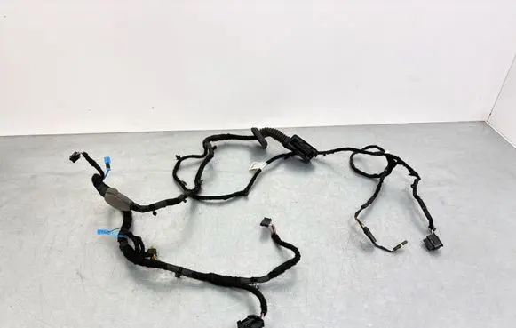 BMW 3 G20 G21 Front door wiring loom 5A20689