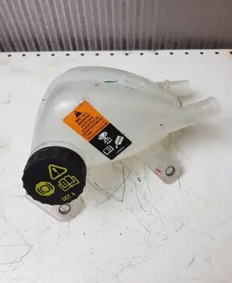 Renault Austral Brake fluid reservoir DFN131