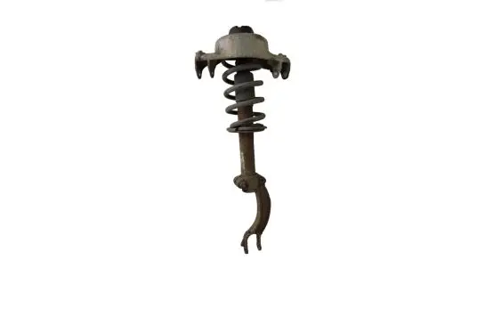 Audi Q5 SQ5 Front shock absorber with coil spring 8R0031N