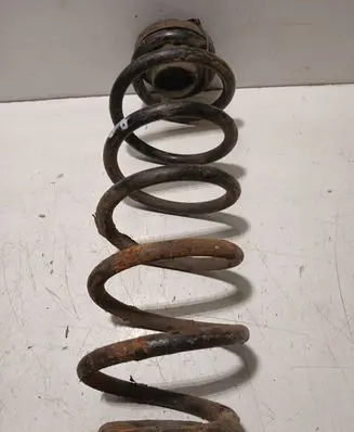 Seat Ibiza III (6L) Rear coil spring