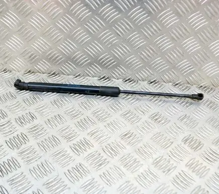 Renault Kadjar Tailgate/trunk strut/damper 904516026R