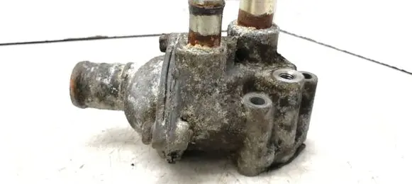 Thermostat/thermostat housing