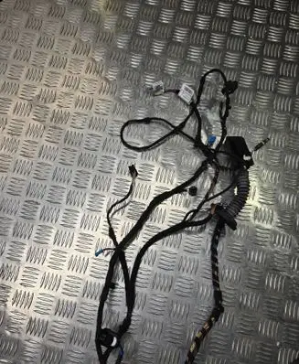 BMW X2 F39 Front door wiring loom 19344411