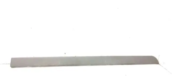 Renault Megane II Front door trim (molding) 8200648661