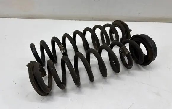 Rear coil spring