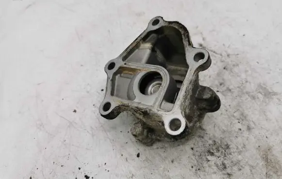 Thermostat/thermostat housing