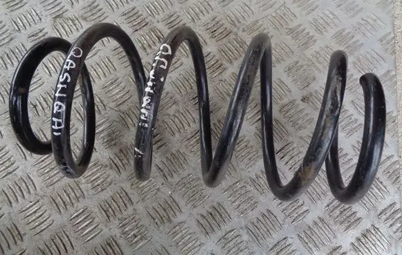 Rear coil spring
