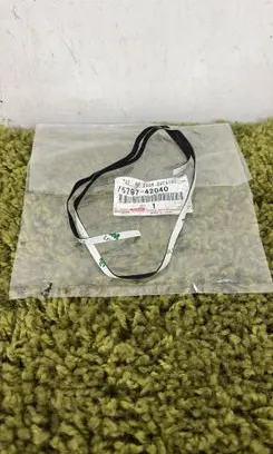 Toyota RAV 4 (XA50) Rubber seal front coupe door 7579742040