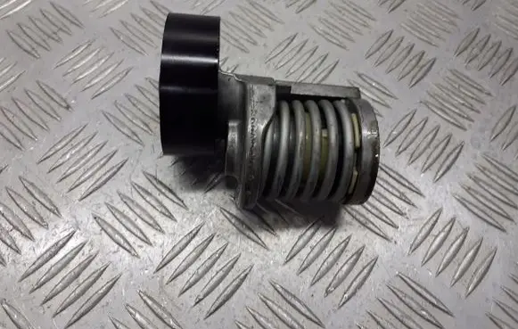 Seat Ibiza IV (6J,6P) Alternator belt tensioner pulley 950330