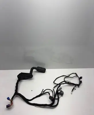 Dodge Charger Front door wiring loom P68293951AB 951AB TAWF3236UI716