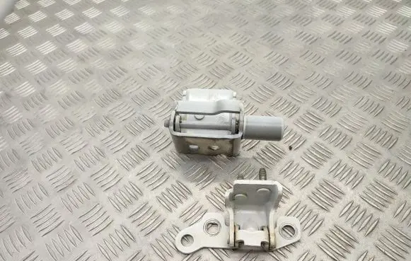 Renault Zoe Rear door hinge set 11716R 864601