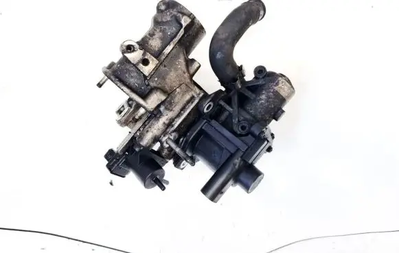Renault Megane III EGR valve 7003681403