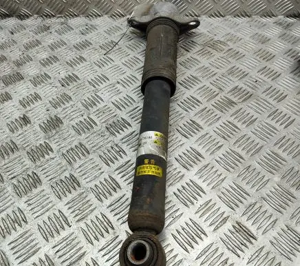 Lexus UX Rear shock absorber/damper 4853076180