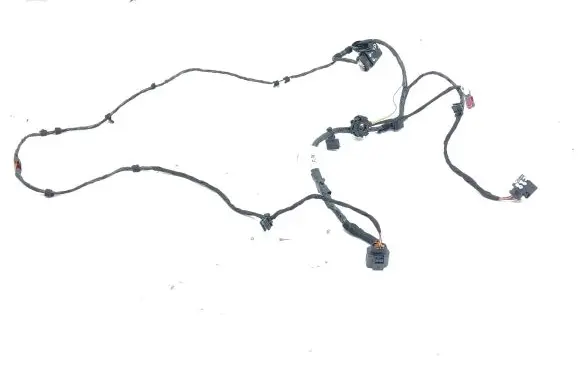 Cupra Formentor Other wiring loom HM55007103