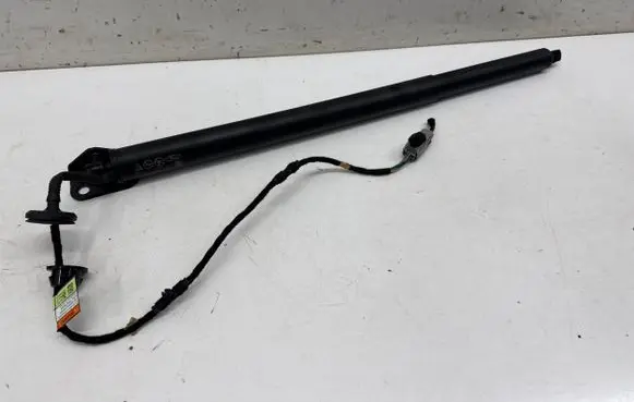 Tailgate/trunk strut/damper