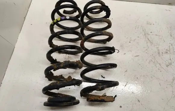 Volkswagen PASSAT B6 Rear coil spring