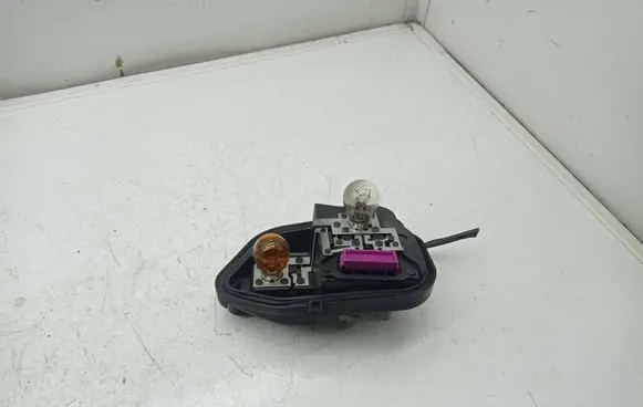 Renault Megane III Tail light bulb cover holder 89076150