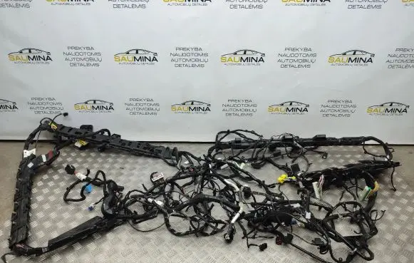 Chrysler Pacifica Other wiring loom