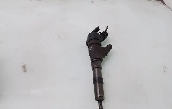 Peugeot 406 Fuel injector 9640088780