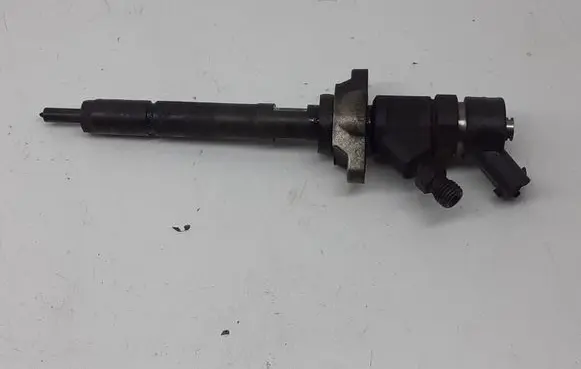 Citroen C4 I Picasso Fuel injector 044511059