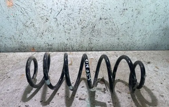 Rear coil spring